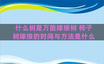 什么树是万能嫁接树 柿子树嫁接的时间与方法是什么